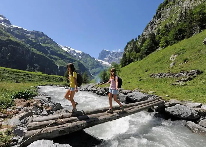 Sunnmatt West 721 By Interhome * Engelberg